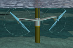 Tidal stream turbines may interact with wildlife