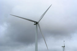 Wind farms environmental impact assessment