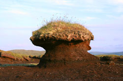 Habitat condition studies - peat erosion in Shetland
