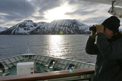 Seabird surveys Seabird surveys
