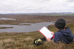 Moorland birds surveys